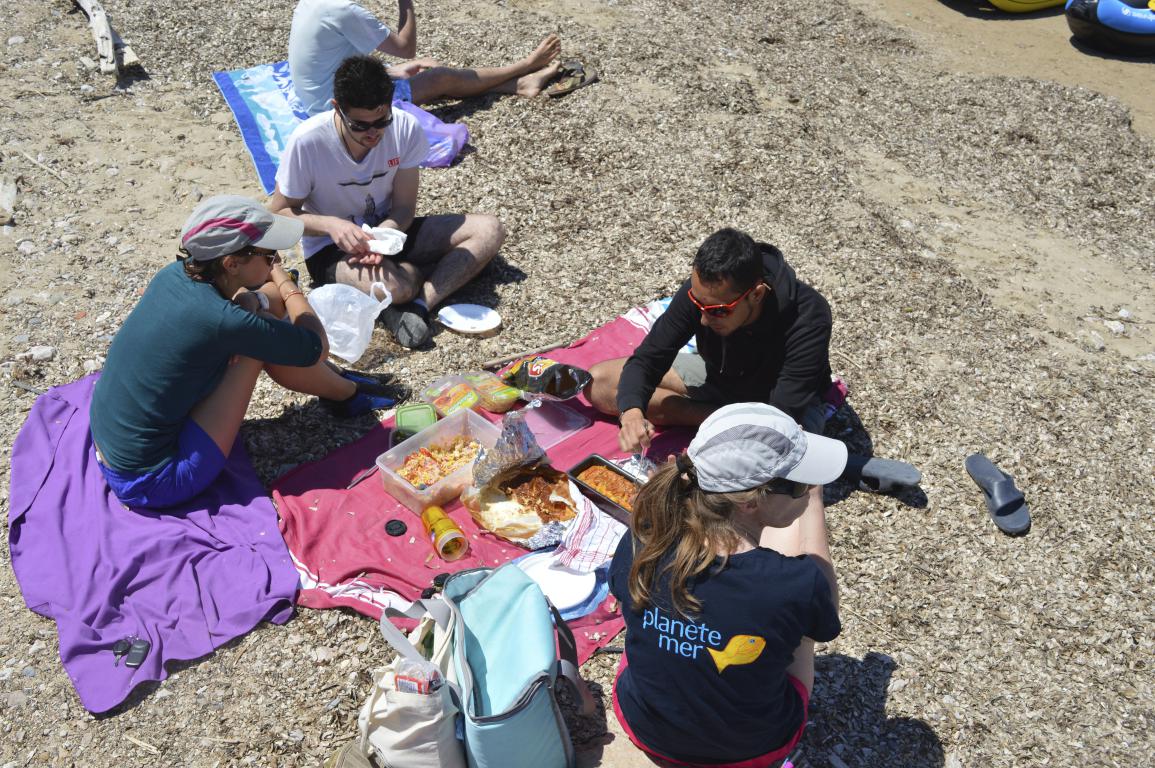 Photo de Sortie d’initiation à la découverte de la biodiversité du littoral suivie d’un pique-nique participatif